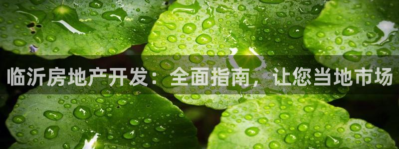 万向娱乐app下载官网