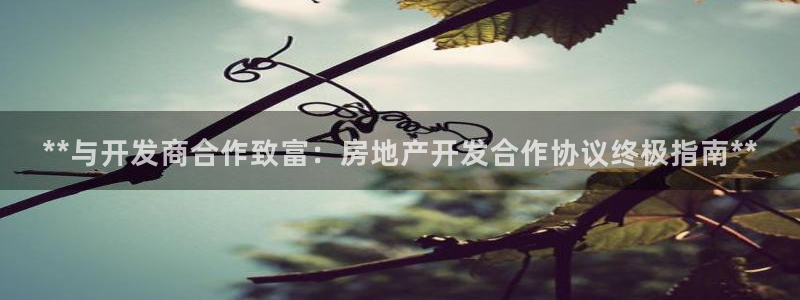 万向娱乐的494o3 主管