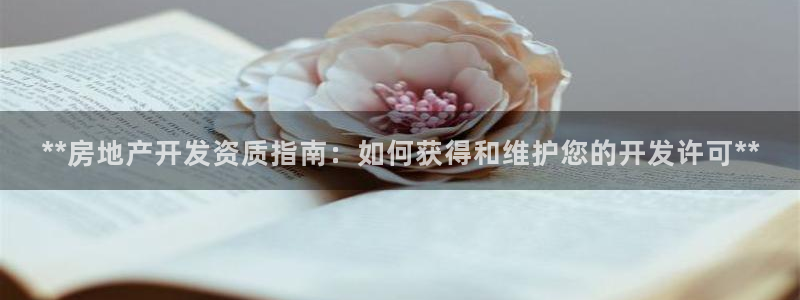 万向娱乐公司 585.34I 娱乐