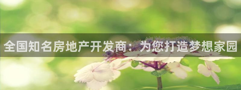 万向娱乐公司 585.34I 娱乐