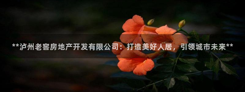 万向娱乐是哪个旗下
