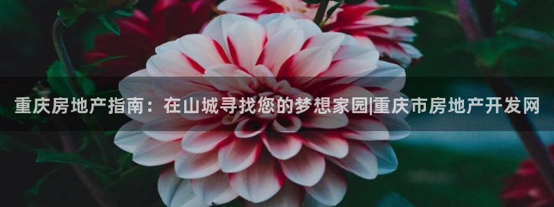 万象国际娱乐网址