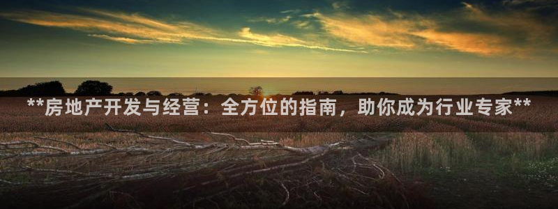 万向娱乐官网网址是什么
