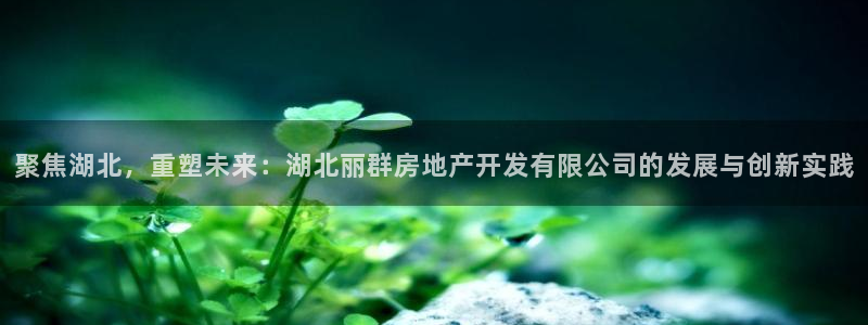 万向娱乐的联系方式有哪些