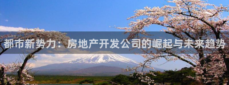 万向娱乐官网网址大全