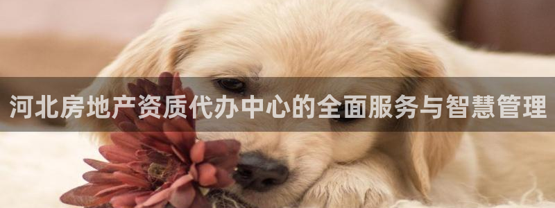 万向娱乐平台怎么下载